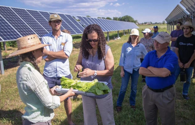 Ko-lokazzjoni Solari, Uċuħ, Bhejjem fi Proġetti Agrivoltajċi